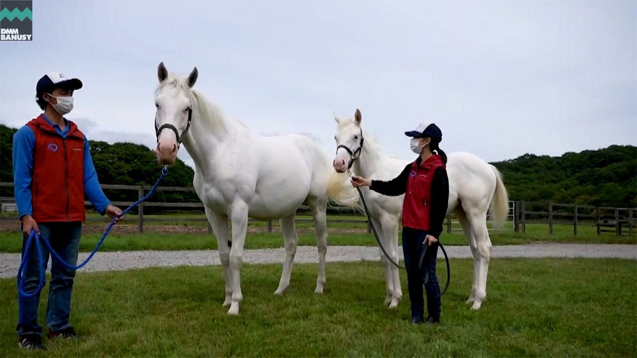 エクラドネージュ 母馬との別れ