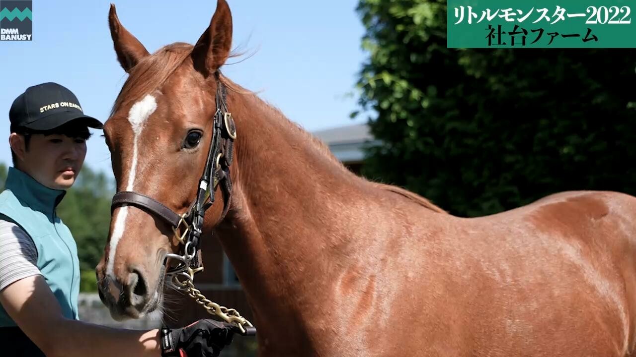 ラストレガシー 6月26日撮影　解説付きツアー風動画