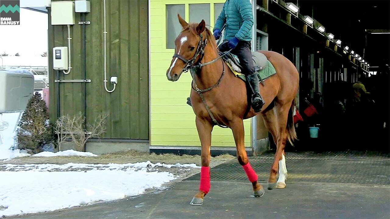 ラストレガシー デビューまでの道のり