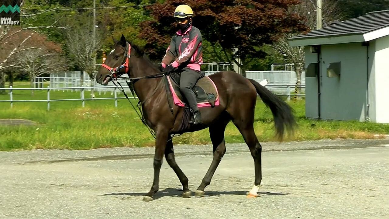 キングスコール デビューまでの道のり