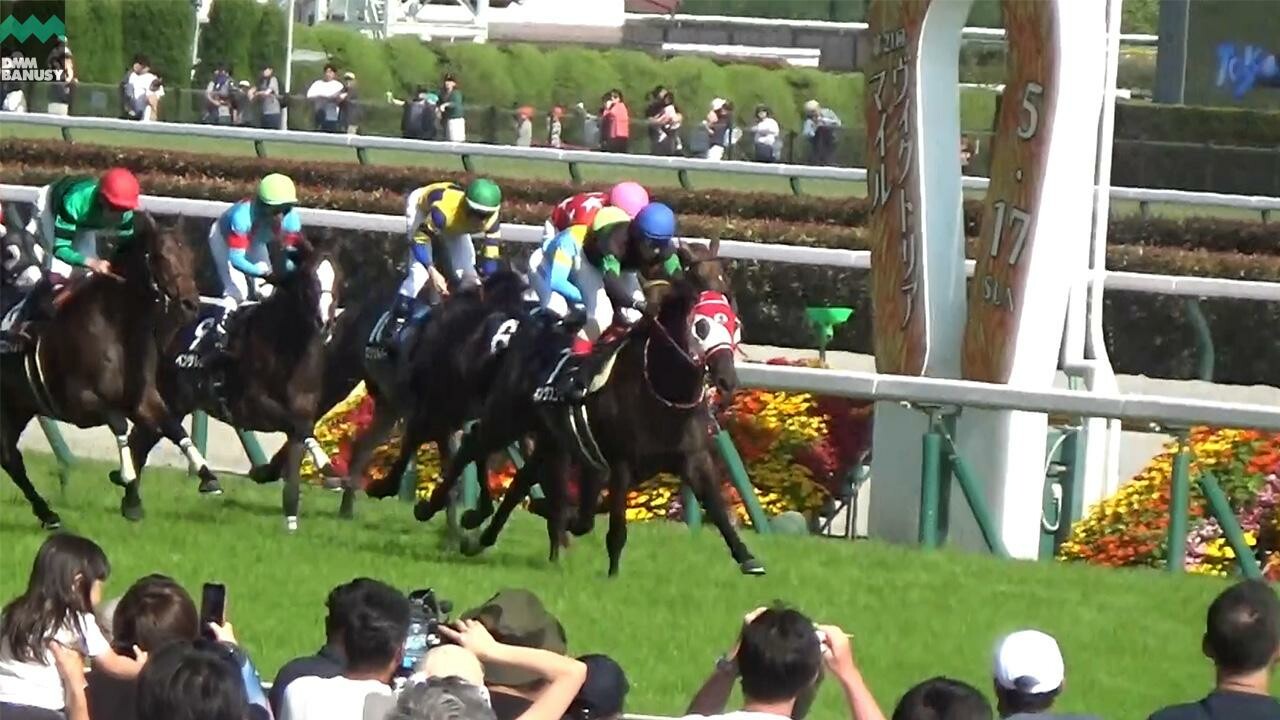 キングスコール 目黒記念までの道のり