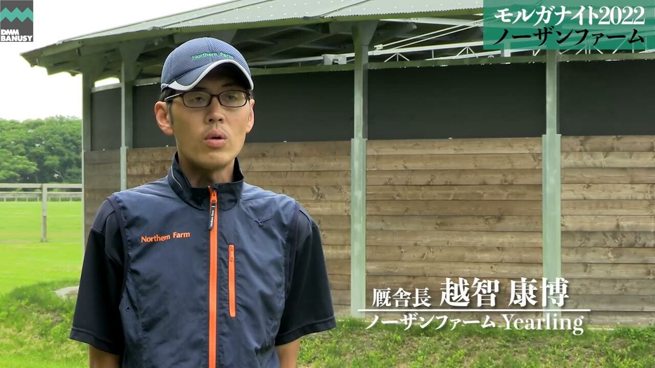 セシアンベリル ノーザンファームYearling 越智康博厩舎長インタビュー