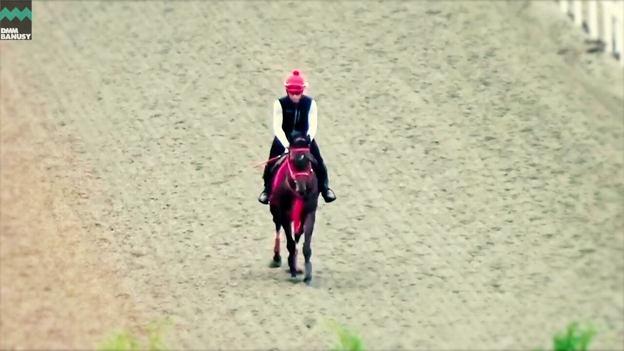 エンジェルマーク 百日草特別までの道のり