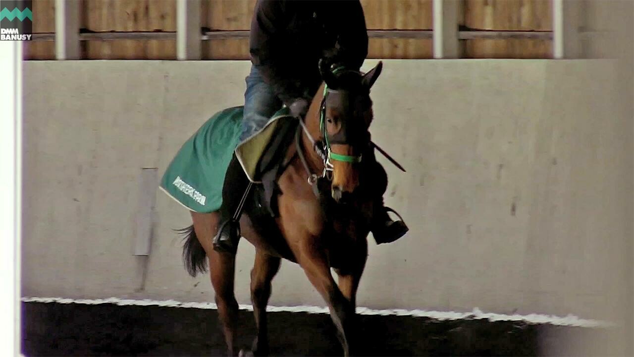 ジュルナール デビューまでの道のり