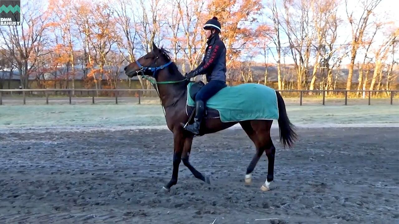 ヴァロアーク デビューまでの道のり