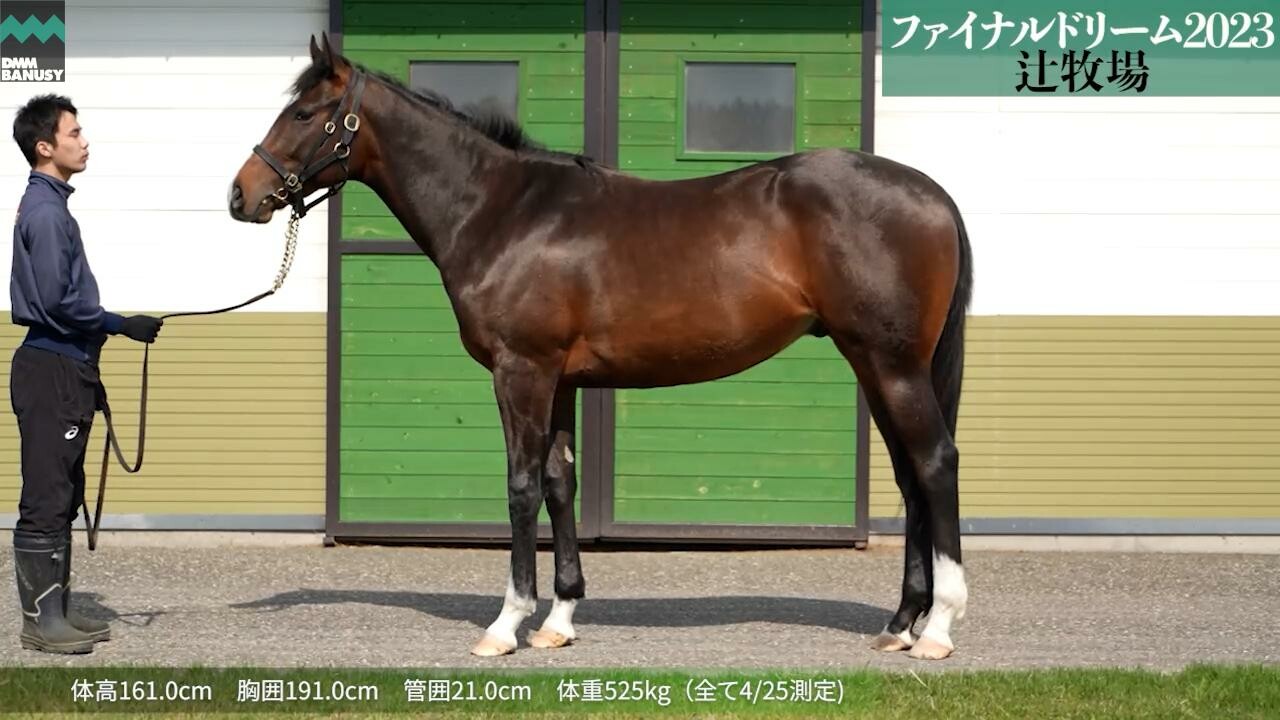 ファイナルドリーム2023 2025/4/30撮影