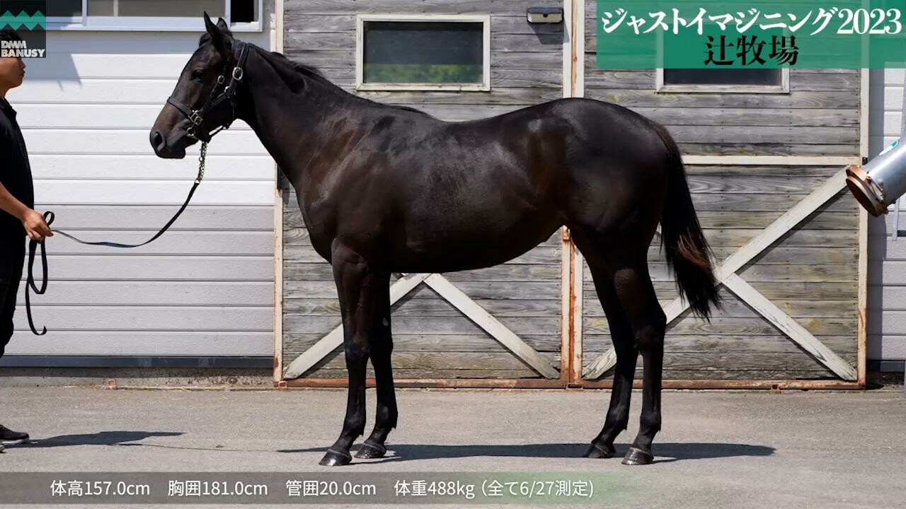 ジャストマイウェイ 2024/6/27撮影