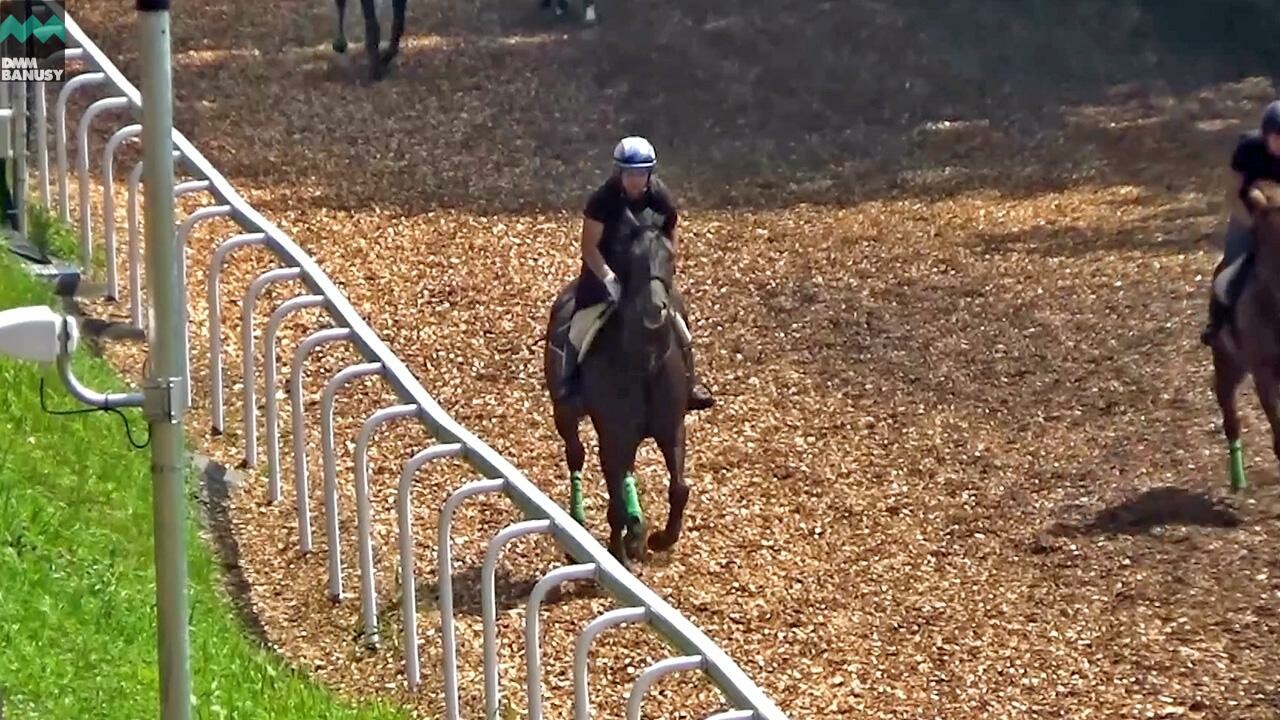 ジャストマイウェイ デビューまでの道のり