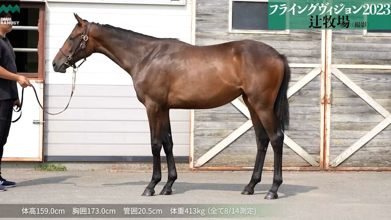 フライングヴィジョン2023 2024/7/18撮影