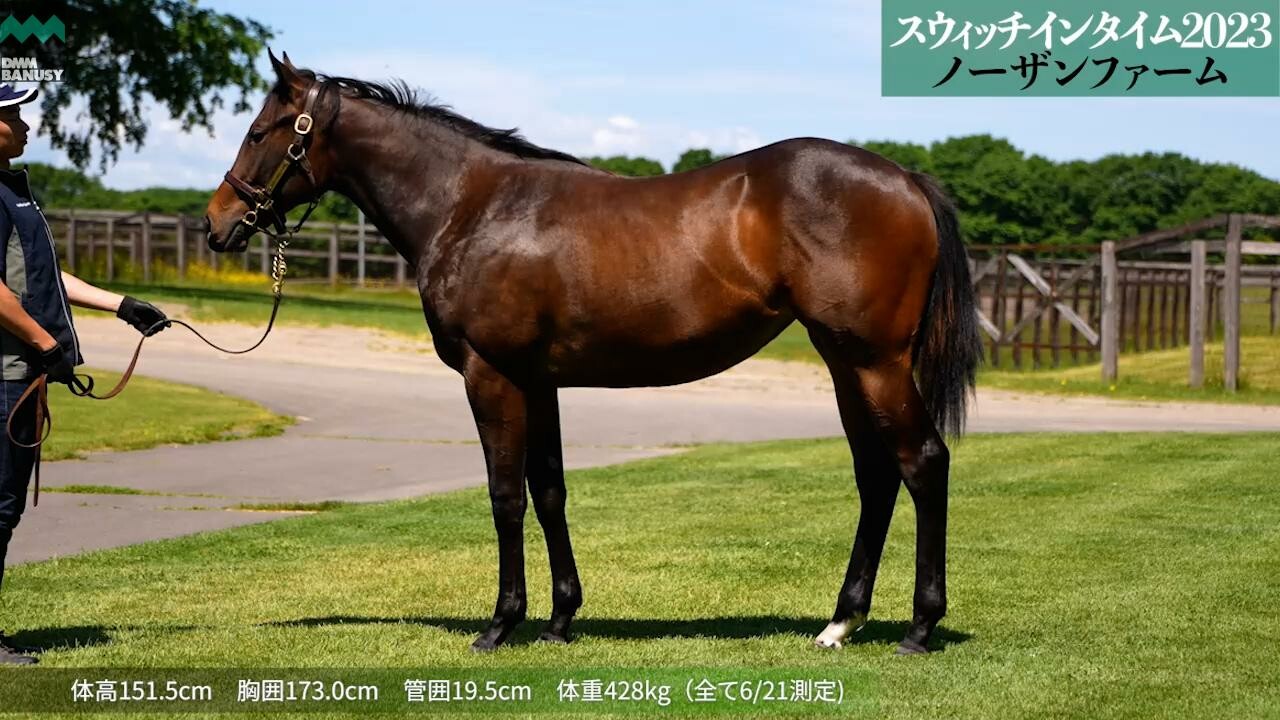 スウィッチインラヴ 2024/6/19撮影