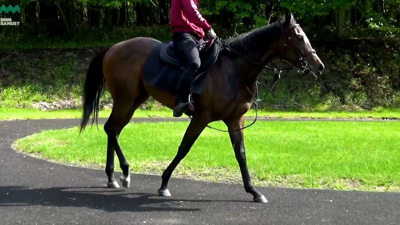 スウィッチインラヴ デビューまでの道のり