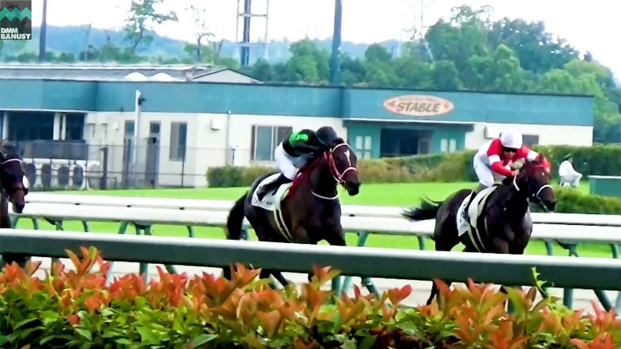 スウィッチインラヴ 野路菊ステークスまでの道のり