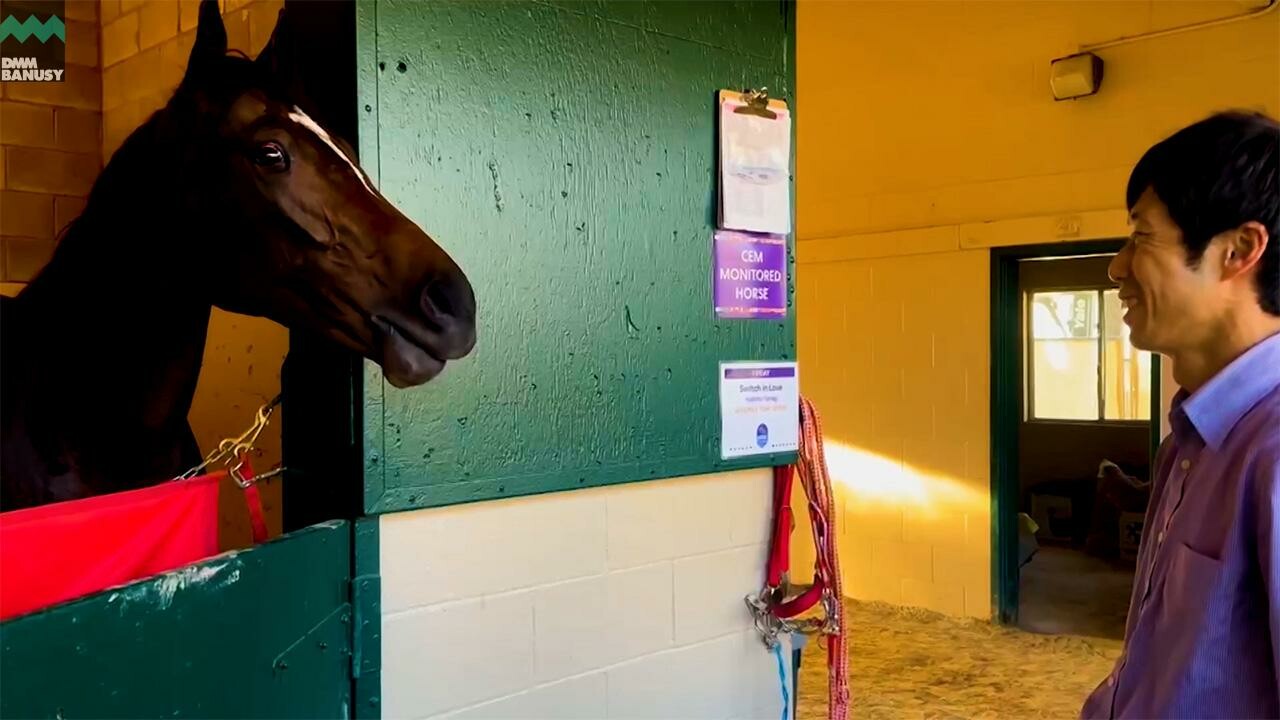 スウィッチインラヴ 紅梅ステークスまでの道のり