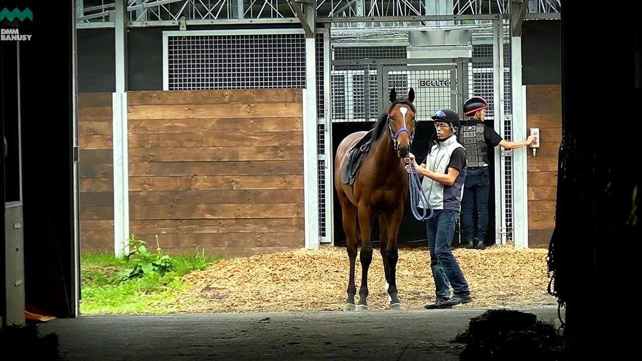 チャームドウイング デビューまでの道のり