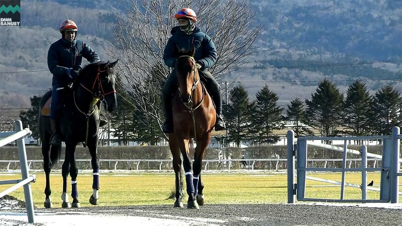 ブルーリュバン デビューまでの道のり