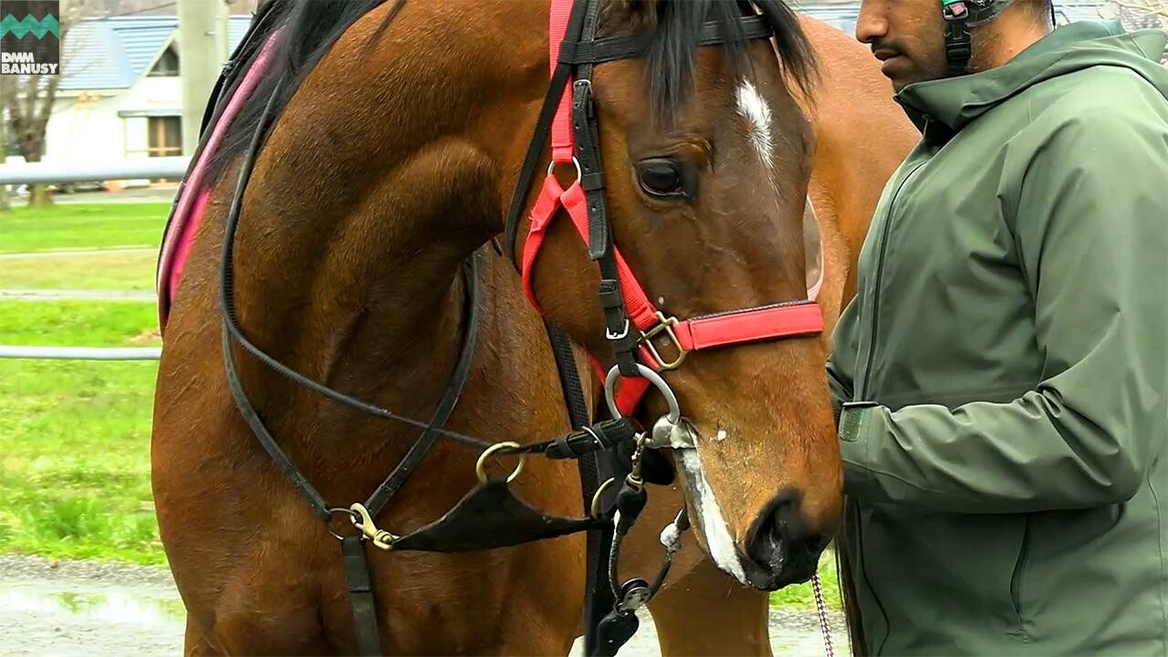 ナオミライトニング デビューまでの道のり