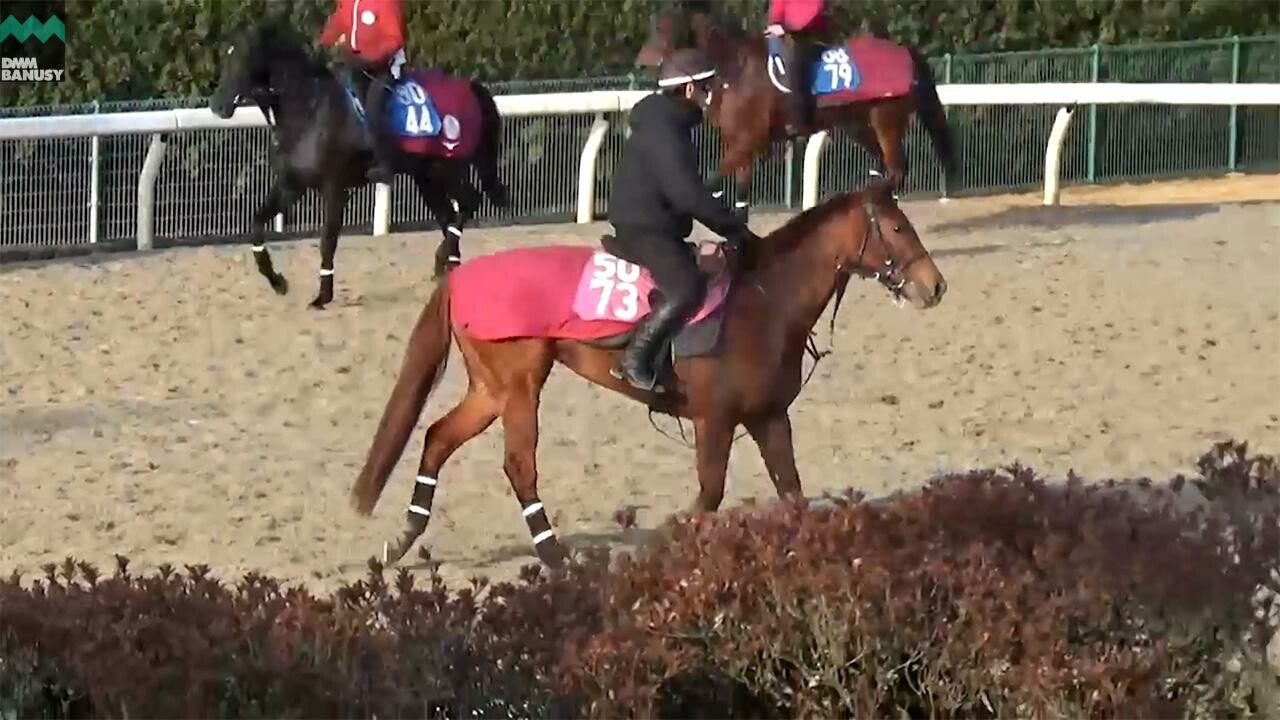 エピッククイーン アネモネステークスまでの道のり