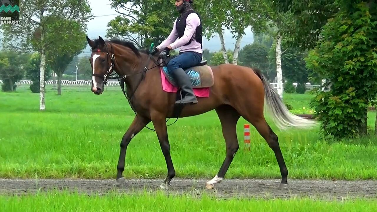 プリュイドール デビューまでの道のり