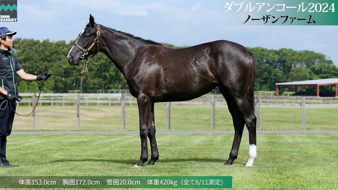 ダブルアンコール2024 2025/7/21撮影