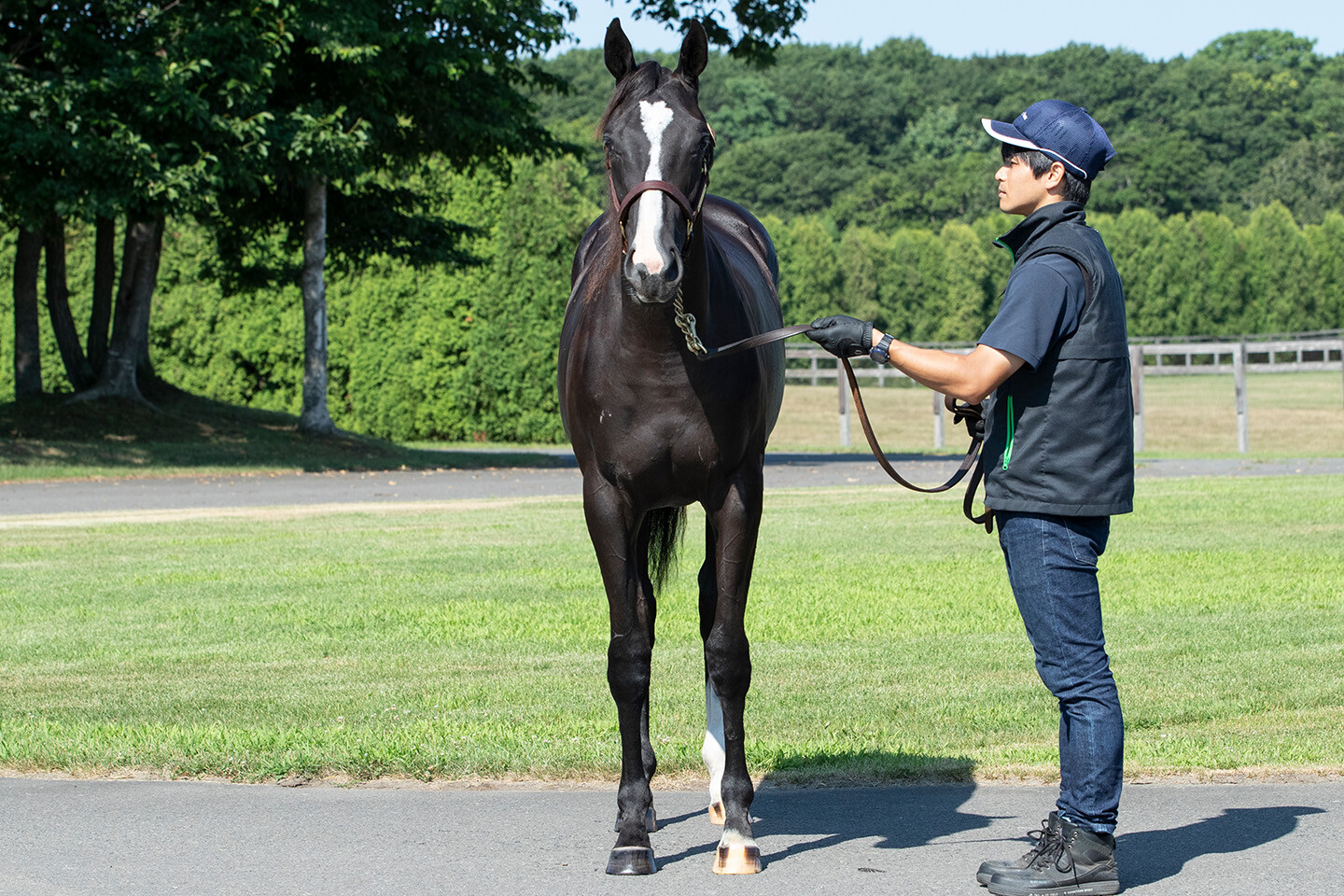 ダブルアンコール2024 馬体フォト 2025/07/25