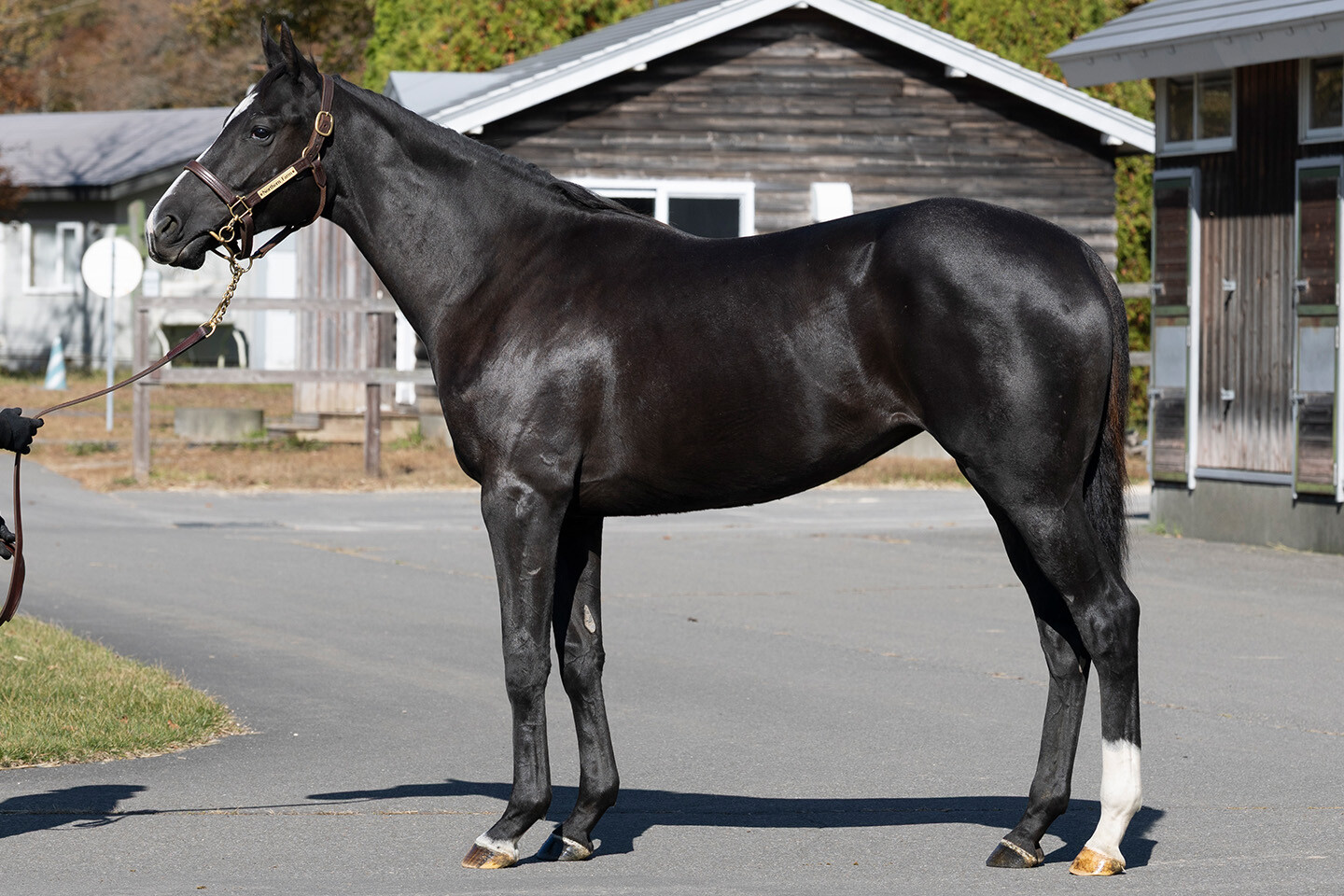 ダブルアンコール2024 写真