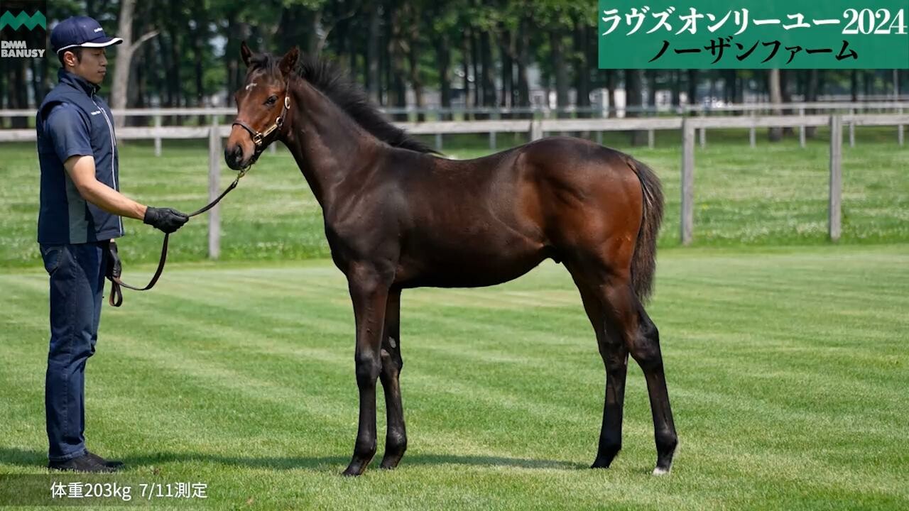 オディオペルデレ 2024/7/11撮影