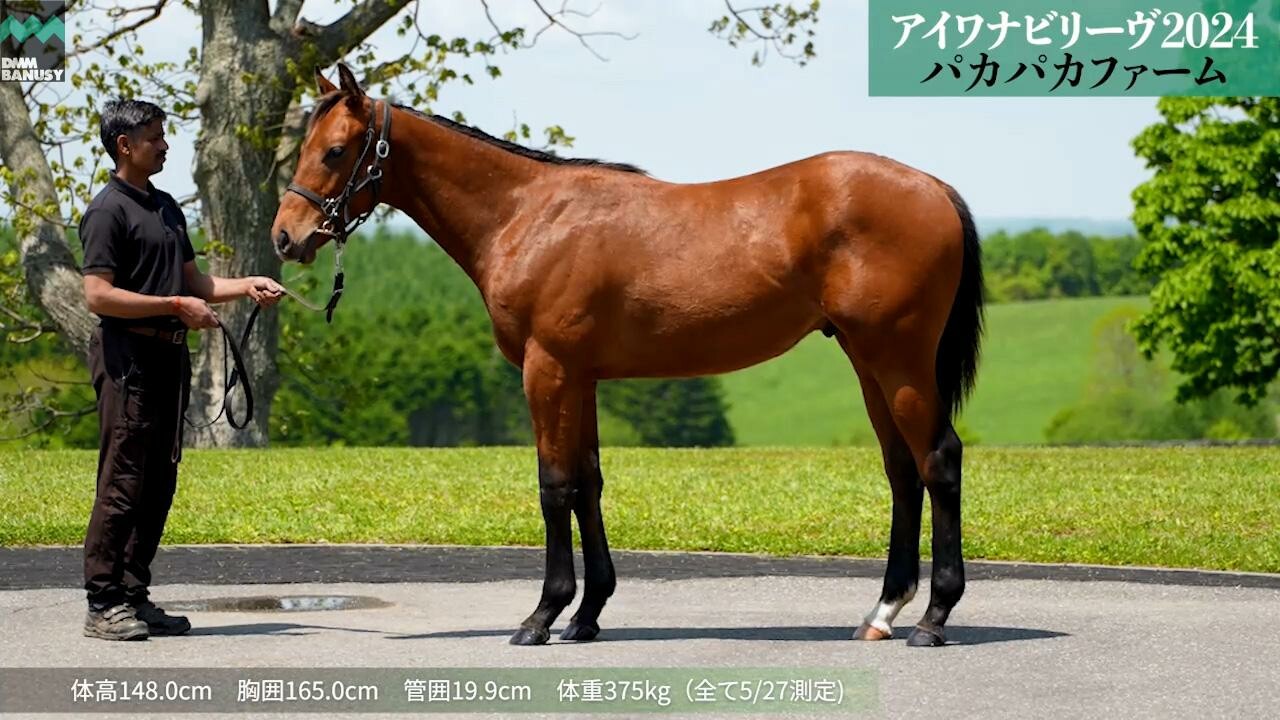 アイワナビリーヴ2024 2025/5/27撮影
