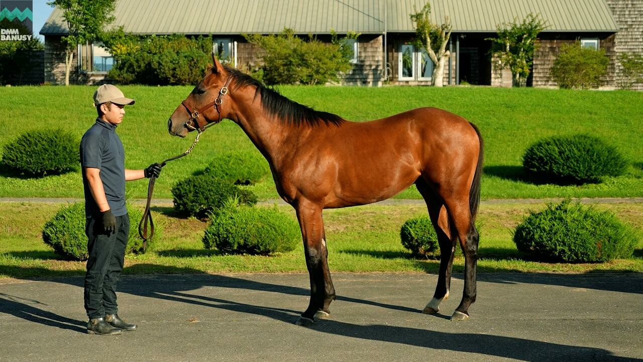 アイワナビリーヴ2024 2025/9/8撮影：ファンタストクラブ・木村牧場現地視察