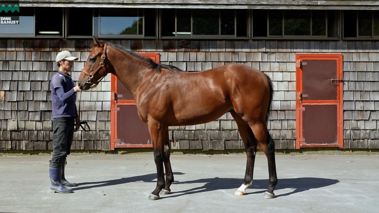 アイワナビリーヴ2024 2025/10/6撮影：ファンタストクラブ・木村牧場現地視察