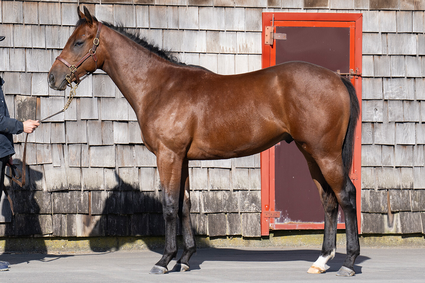 アイワナビリーヴ2024 写真