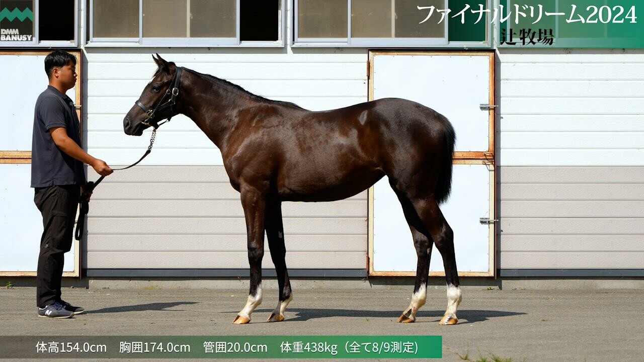 ファイナルドリーム2024 2025/7/24撮影