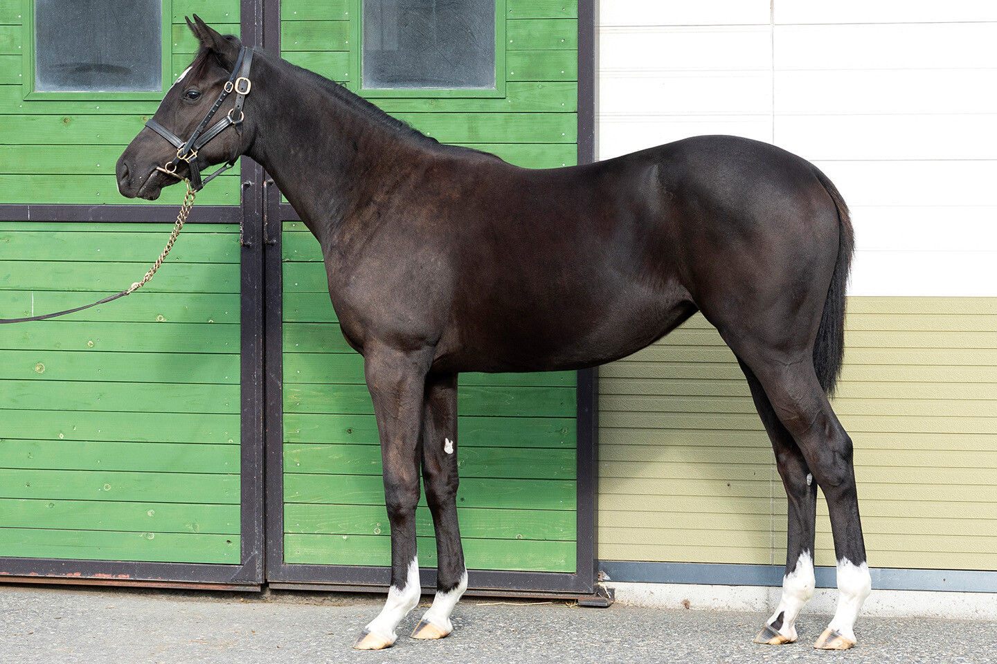 ファイナルドリーム2024 写真