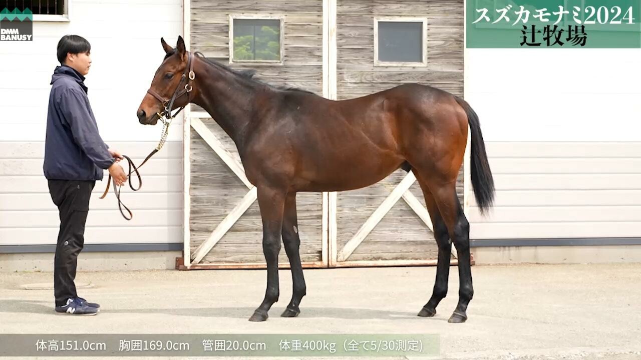 スズカモナミ2024 2025/5/30撮影
