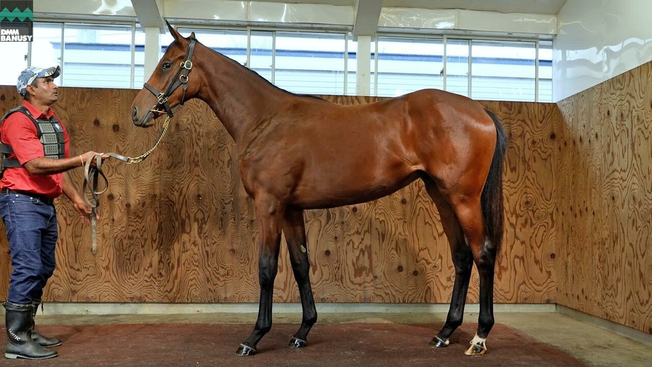 シスタリーラヴ2024 2025/8/15撮影：吉澤ステーブル現地視察