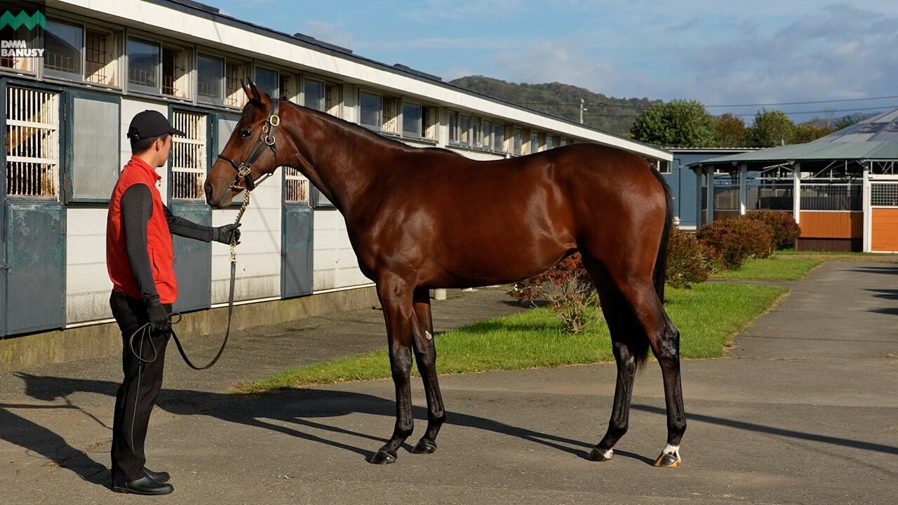 シスタリーラヴ2024 2025/10/6撮影：吉澤ステーブル現地視察