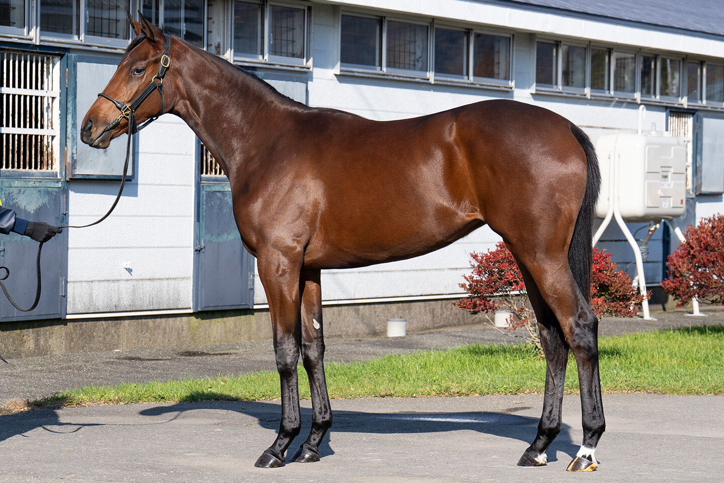 シスタリーラヴ2024 写真