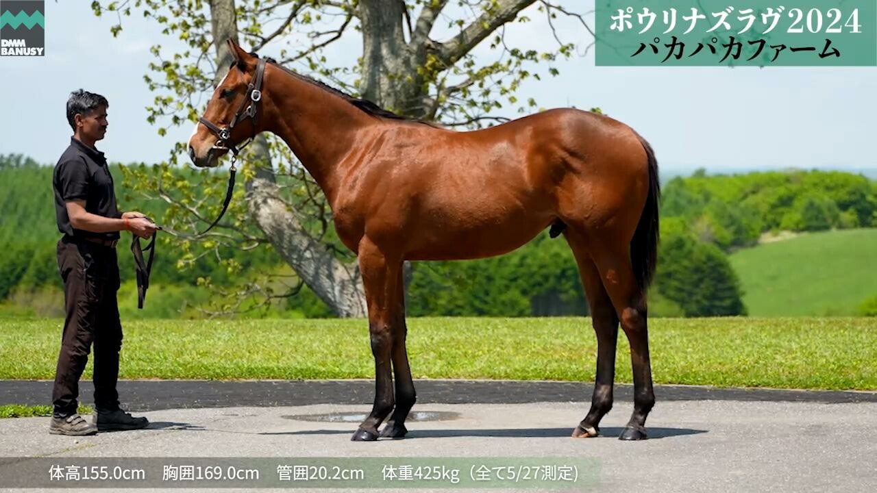 ポウリナズラヴ2024 2025/5/27撮影