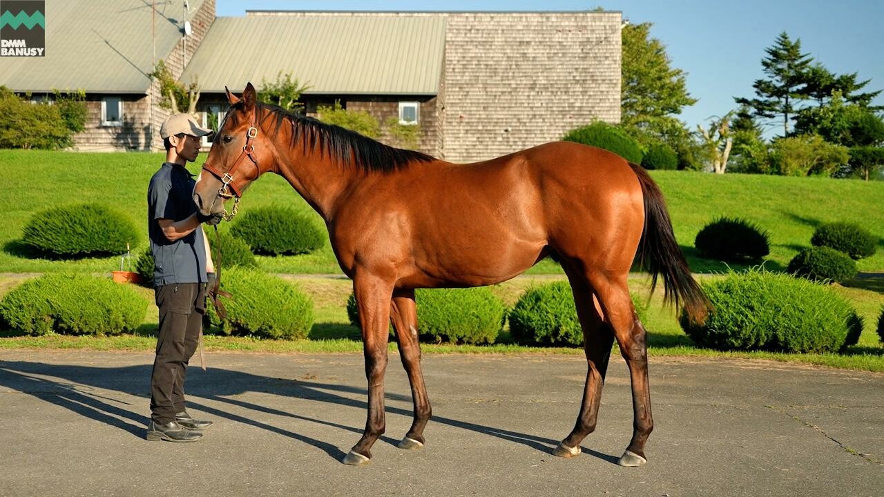 ポウリナズラヴ2024 2025/9/8撮影：ファンタストクラブ・木村牧場現地視察