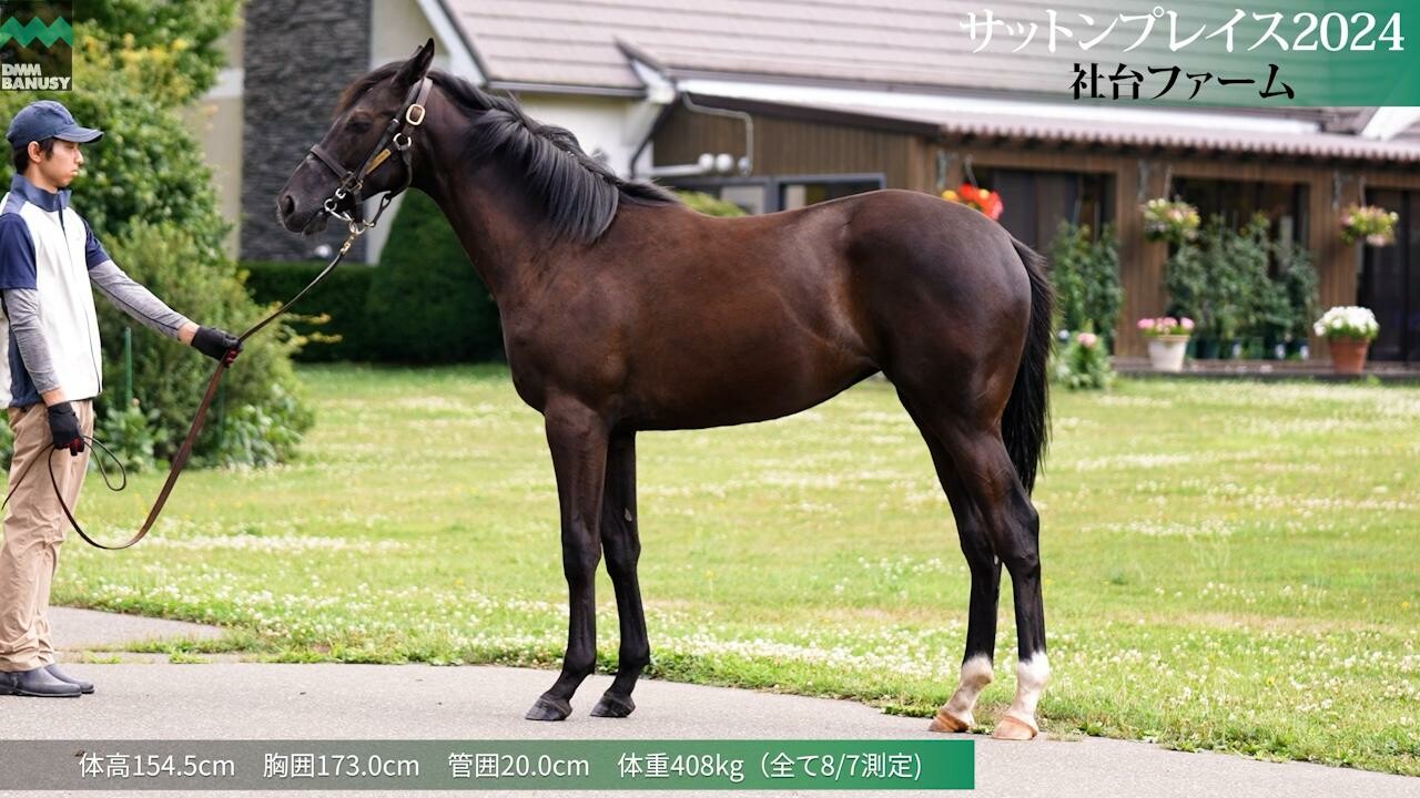 サットンプレイス2024 2025/7/22撮影
