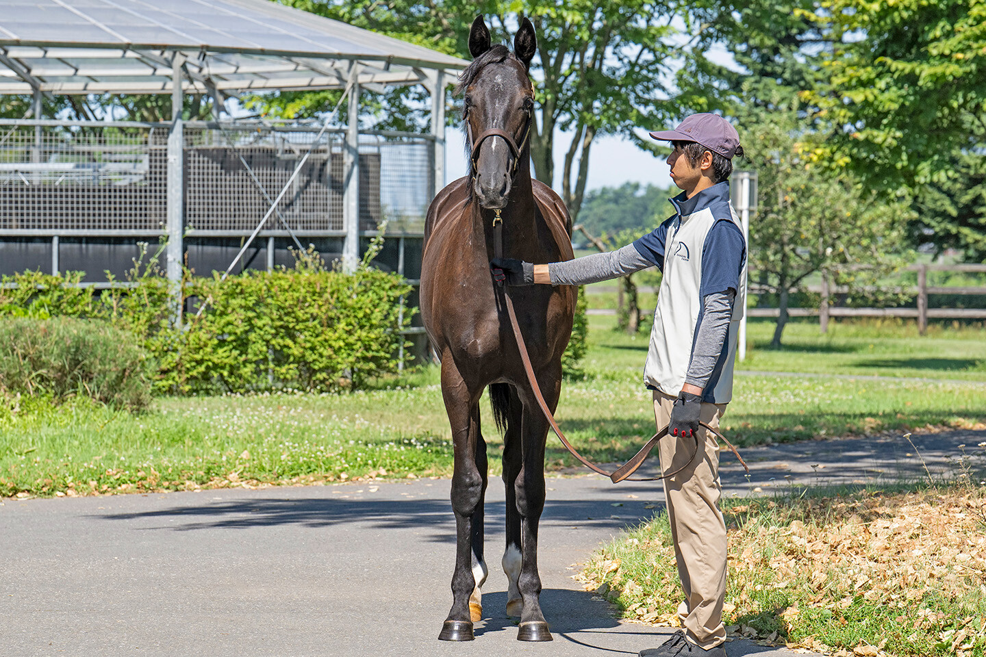 サットンプレイス2024 馬体フォト 2025/07/24