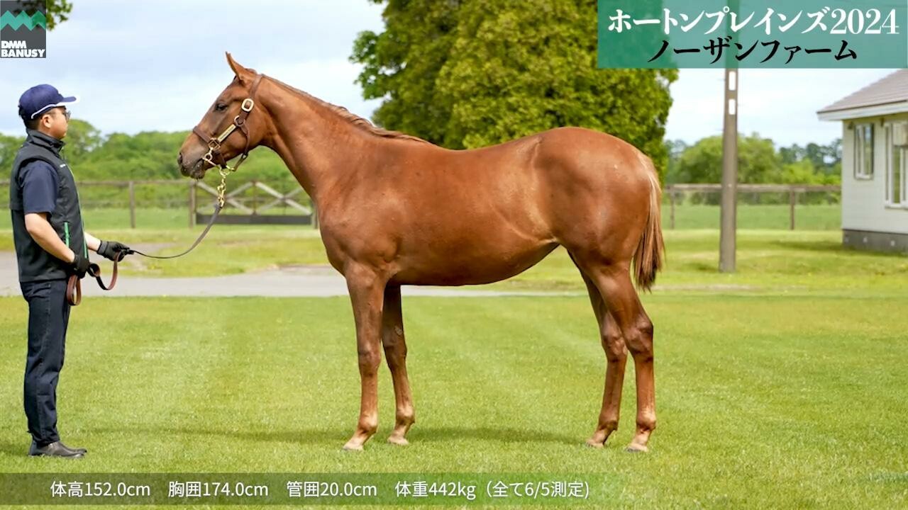ホートンプレインズ2024 2025/6/5撮影