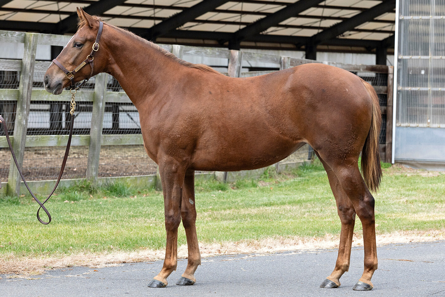 ホートンプレインズ2024 写真