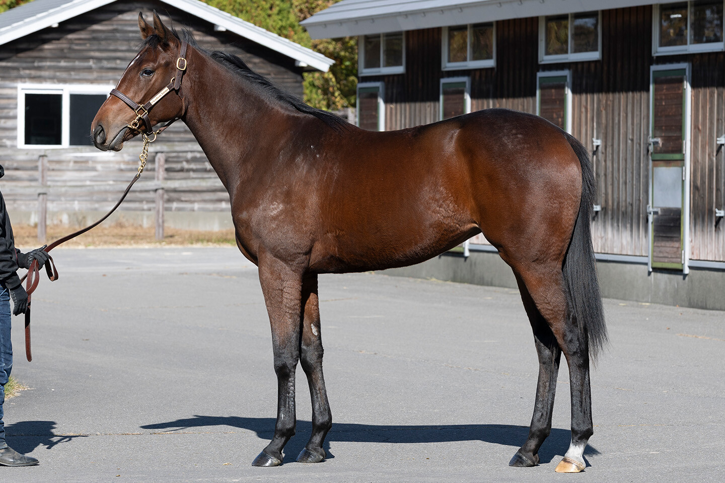 エピックラヴ2024 写真