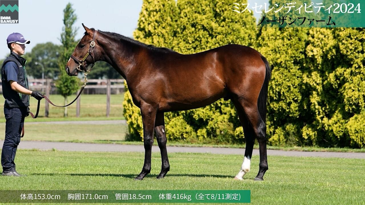 ミスセレンディピティ2024 2025/7/24撮影