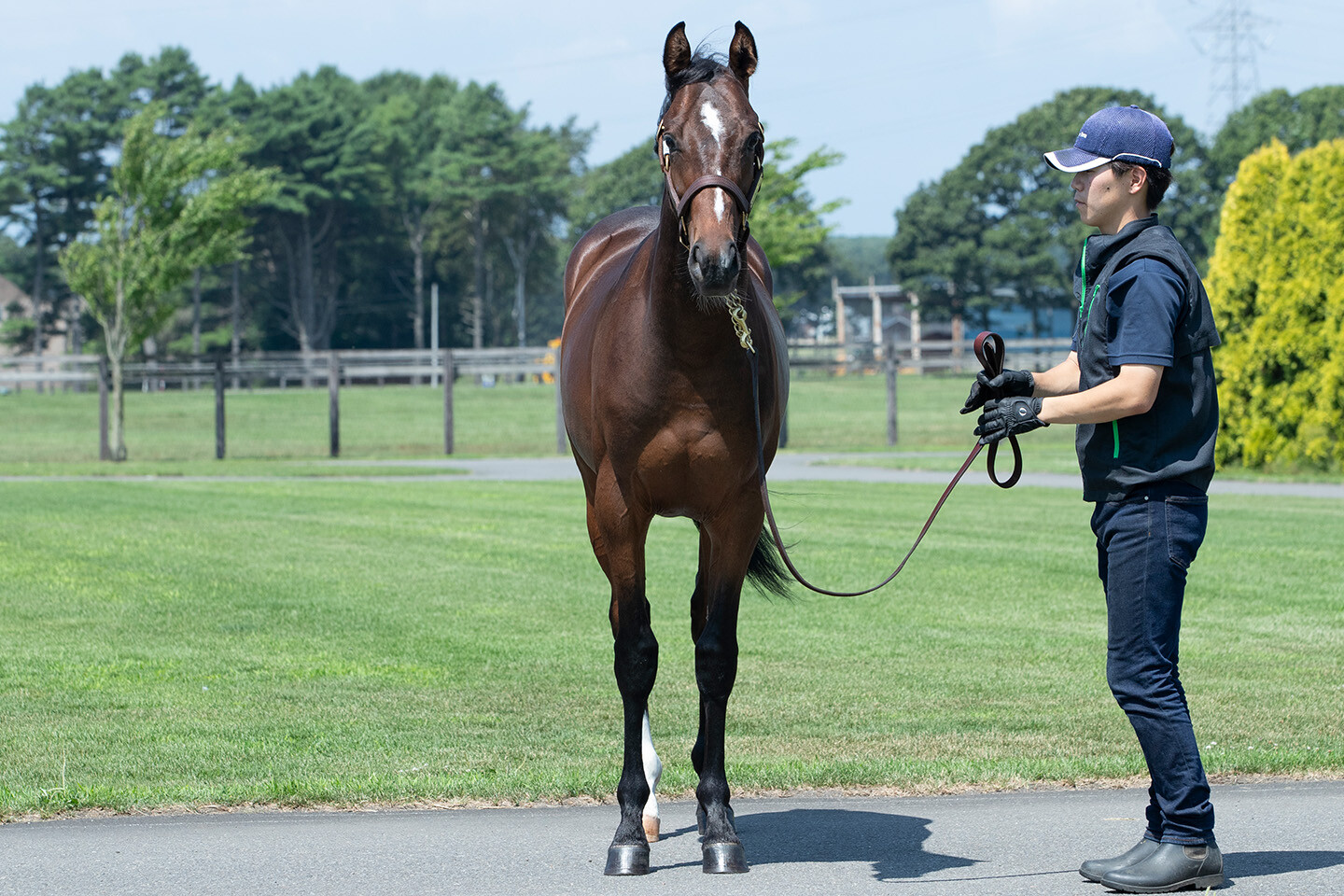 ミスセレンディピティ2024 馬体フォト 2025/07/23