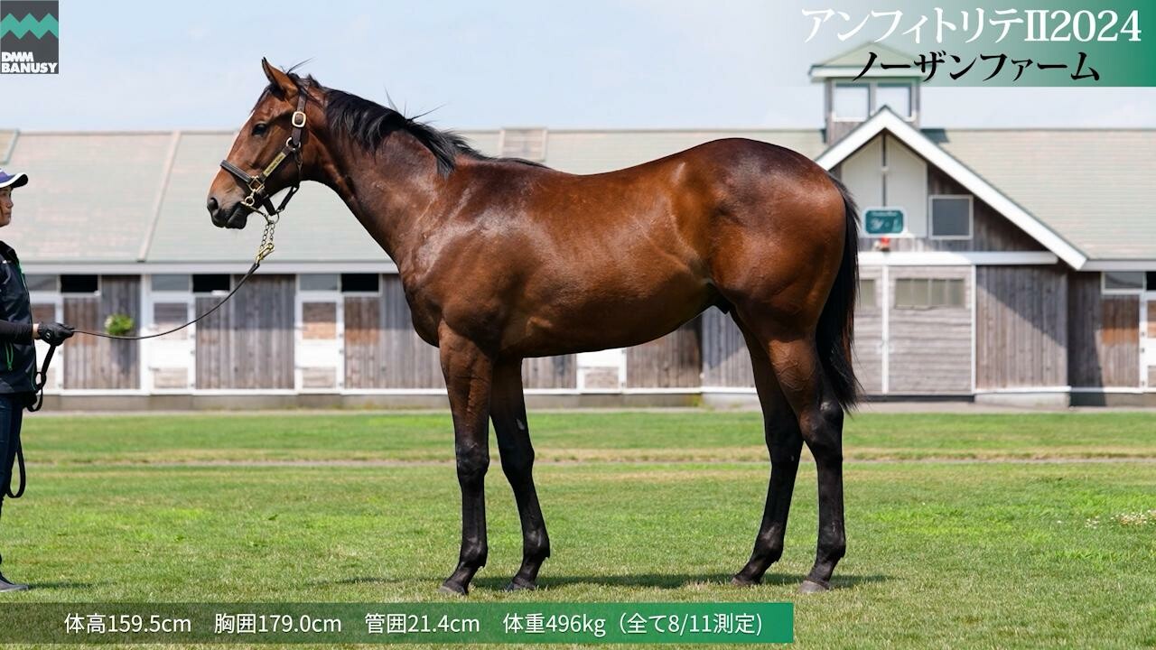 アンフィトリテII2024 2025/7/21撮影