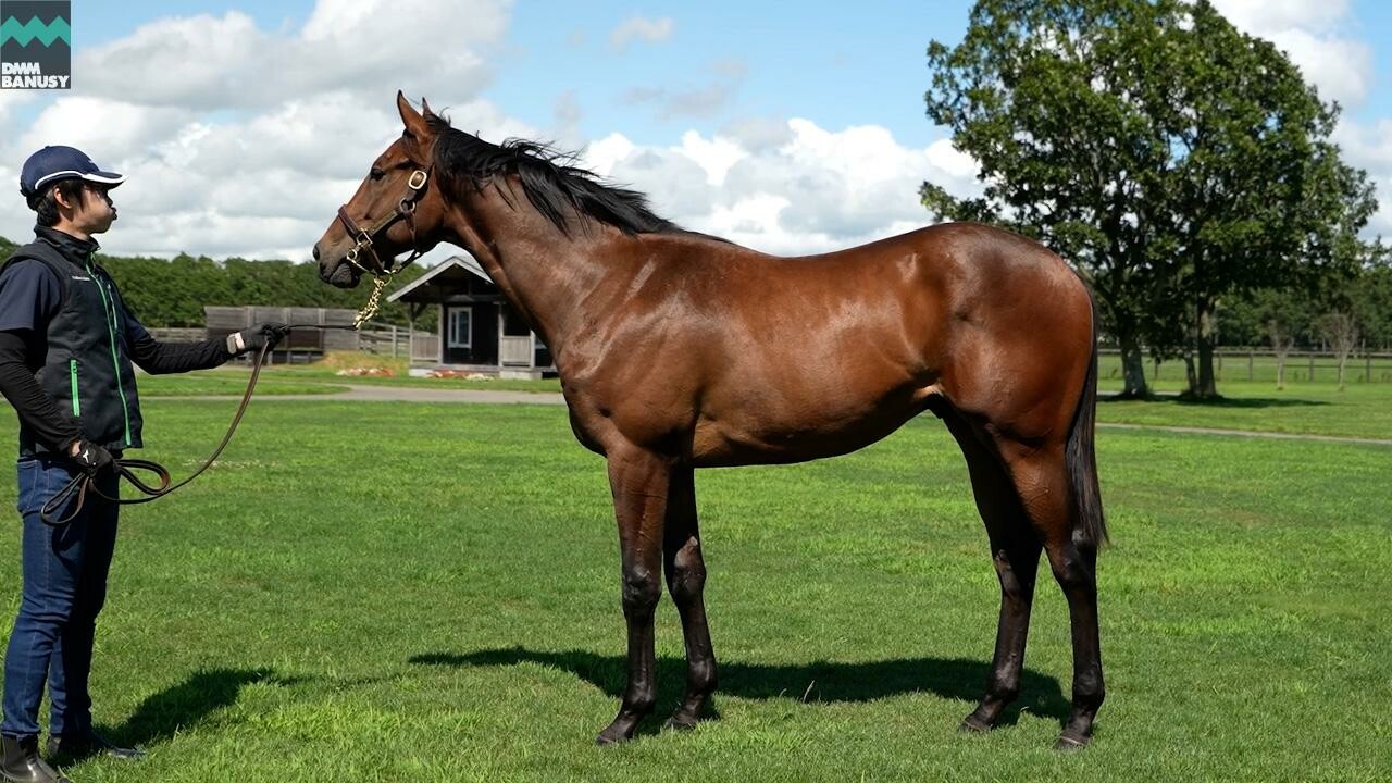 アンフィトリテII2024 2025/8/15撮影：ノーザンファーム現地視察