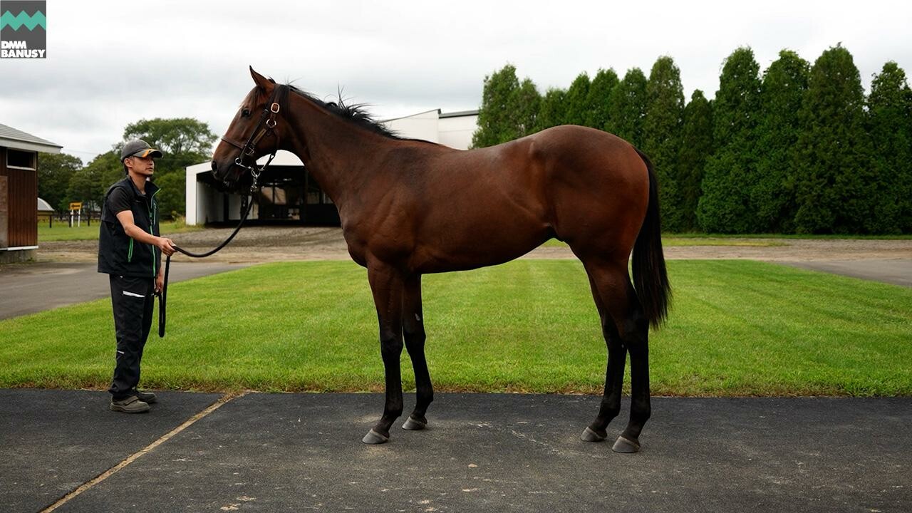 アンフィトリテII2024 2025/9/9撮影：ノーザンファーム現地視察