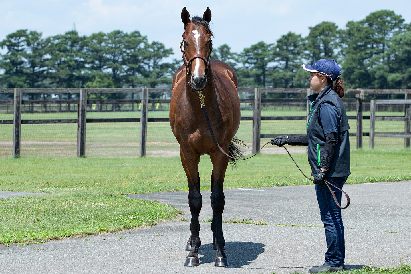 アンフィトリテII2024 馬体フォト 2025/07/23