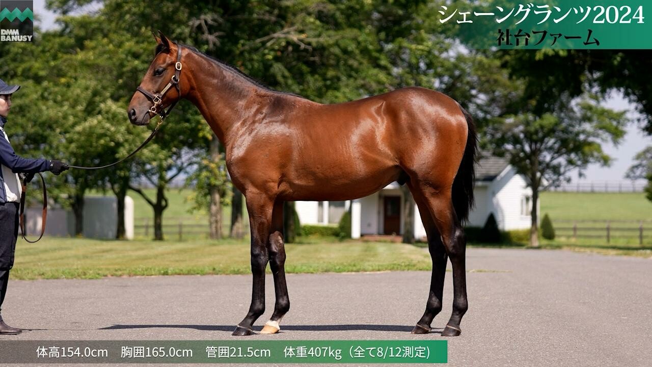 シェーングランツ2024 2025/7/22撮影